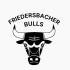 Logo Bulls